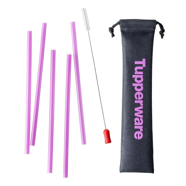 Go Eco Straw & Brush Set