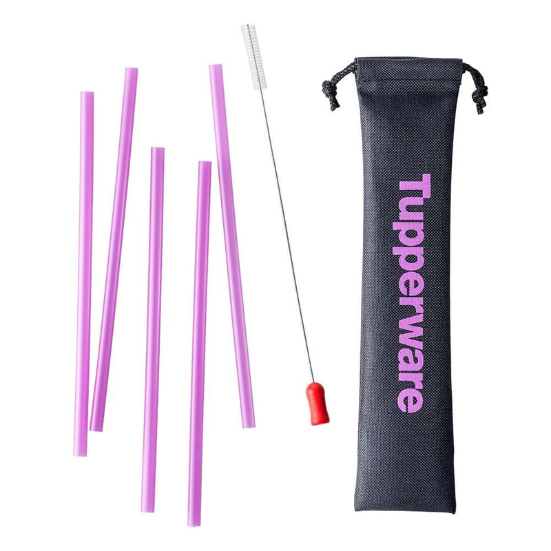 Go Eco Straw & Brush Set
