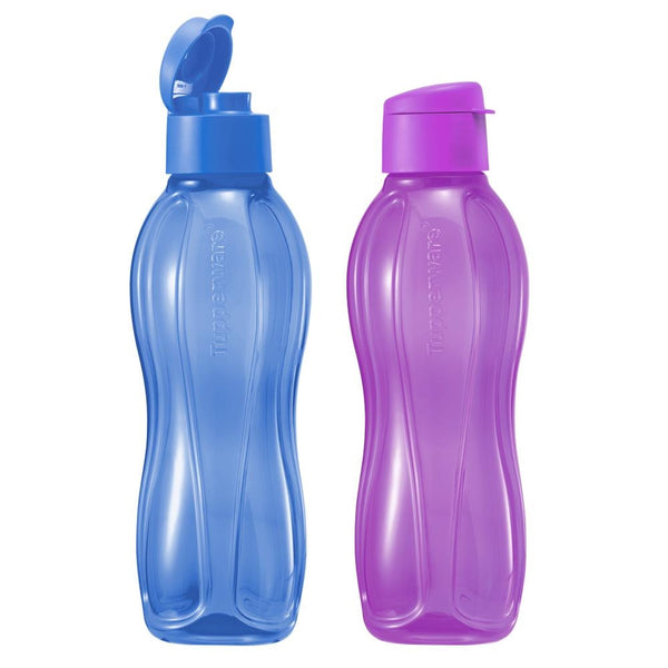 Eco Bottle 1L With Fliptop (2) Purlicious / Bluebell Regular