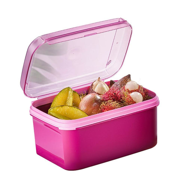 Ezy Rectangular Keeper | 1pc | 4.3L
